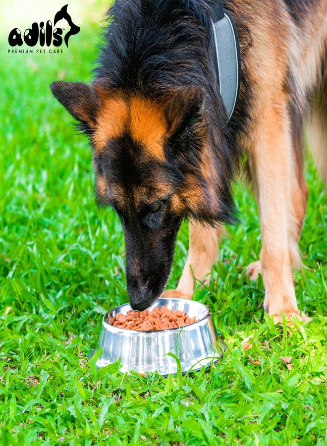 ADIL'S Adil’S Stainless Steel Dog and Cat Feeder - Non-Slip Base, Easy to Clean, Durable & Bite-Resistant Pet Food Bowl | Pet Feeder for Small to Large Dogs & Cats, Size: M - Image 4